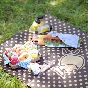 INIC Picnic Rug - M -