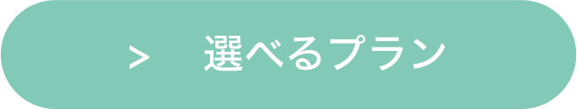 3つの選べるプラン